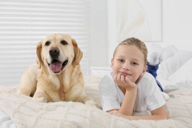 Evde Labrador Retriever 'ı olan sevimli bir çocuk. Sevimli hayvan.