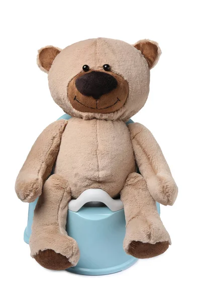 Teddybär Auf Hellblauem Töpfchen Isoliert Auf Weißem Toilettentraining — Stockfoto