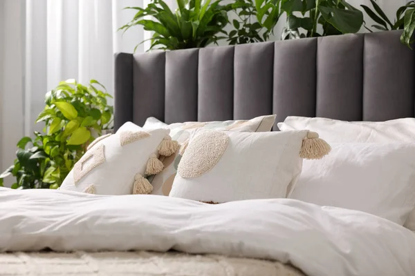 Cama Confortável Com Travesseiros Edredão Belas Plantas Sala Dentro Casa — Fotografia de Stock