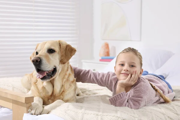 Criança Bonita Com Seu Labrador Retriever Cama Casa Adorável Animal — Fotografia de Stock