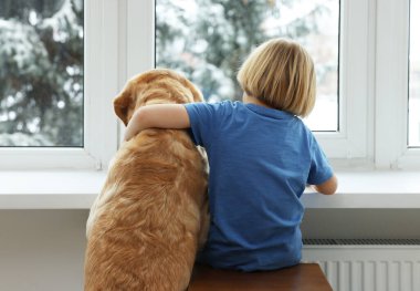 Evinin penceresinin yanında Golden Retriever marka arabası olan sevimli bir çocuk. Sevimli hayvan.