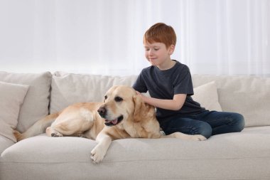 Evdeki kanepesinde Labrador Retriever 'ı olan sevimli bir çocuk. Sevimli hayvan.