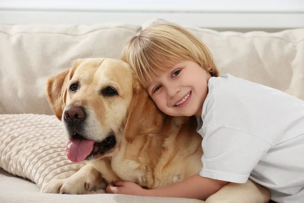 Cute Little Child Golden Retriever Sofa Home Adorable Pet — Fotografia de Stock