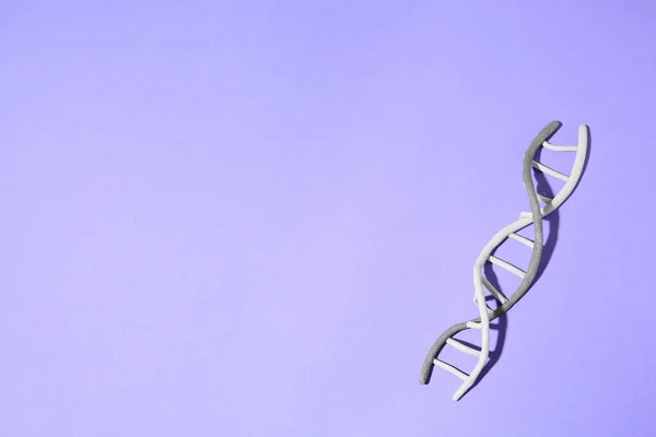 Plasticine model of DNA molecular chain on violet background, top view. Space for text