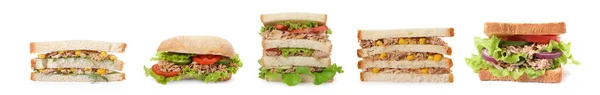 Set Deliciosos Sándwiches Con Atún Sobre Fondo Blanco — Foto de Stock