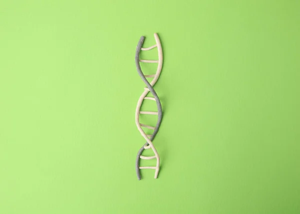Plasticine model of DNA molecular chain on green background, top view