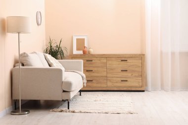 Şık bir kanepe ve oturma odasındaki çekmeceler. İç tasarım