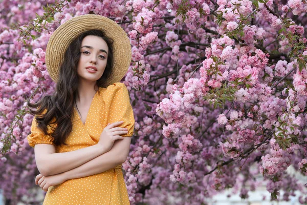 Vacker Kvinna Nära Blommande Sakura Träd Våren Dag — Stockfoto