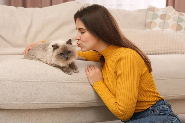 女性接吻彼女の可愛いです猫近く柔らかいソファ屋内 — ストック写真