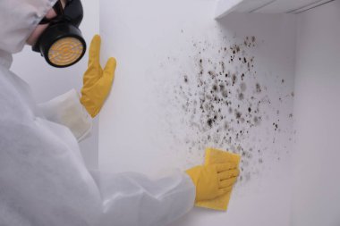 Koruyucu giysili ve lastik eldivenli bir kadın duvardan bez parçasıyla küf çıkarıyor.