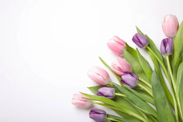 Красивые Тюльпаны Светлом Фоне Плоский Лежал Пространство Текста — стоковое фото