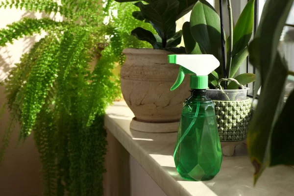Indah Tanaman Rumah Dalam Pot Dan Semprotan Botol Jendela Dalam — Stok Foto