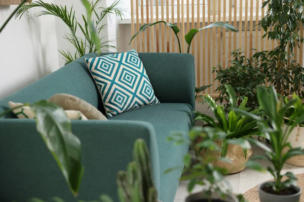 Entspannte Atmosphäre Viele Verschiedene Topfpflanzen Neben Sofa Zimmer — Stockfoto