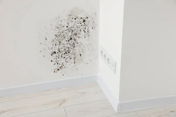 White Wall Affected Mold Room — Stock Photo, Image