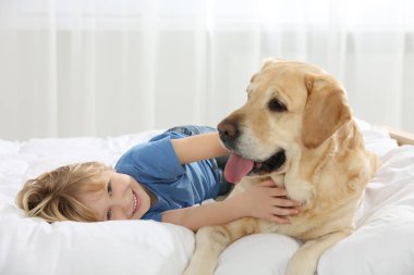 Yatağında Golden Retriever olan sevimli küçük bir çocuk. Sevimli hayvan.