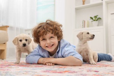 Evdeki halının üzerinde sevimli köpek yavrularıyla uzanan küçük çocuk.