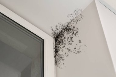 Odadaki küften etkilenen pencere eğimleri