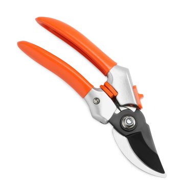 Turuncu saplı Secateurs beyaz, üst manzara izole. Bahçe aleti