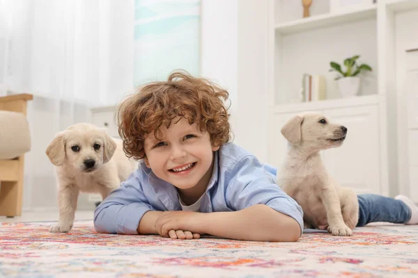 Ragazzino Sdraiato Con Simpatici Cuccioli Sul Tappeto Casa — Foto Stock