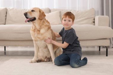 Evde yerde Labrador Retriever 'ı olan sevimli bir çocuk. Sevimli hayvan.
