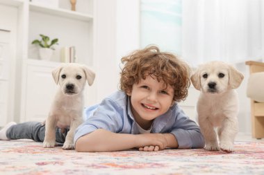 Evdeki halının üzerinde sevimli köpek yavrularıyla uzanan küçük çocuk.