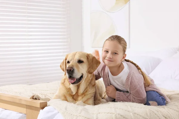 Cute Child Her Labrador Retriever Bed Home Adorable Pet — Stock Photo, Image
