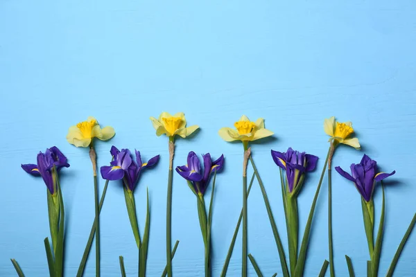 Hermosos Narcisos Amarillos Flores Iris Mesa Madera Azul Claro Puesta — Foto de Stock