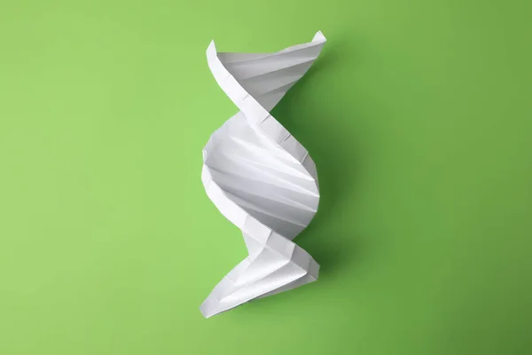 Paper model of DNA molecular chain on green background, top view