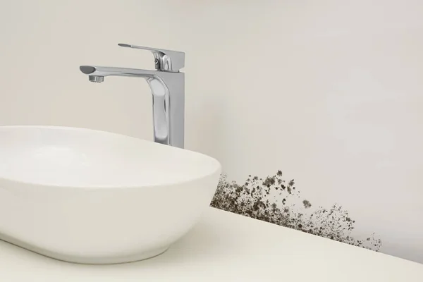 Wand Von Schimmel Befallen Weißes Waschbecken Badezimmer — Stockfoto