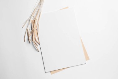 Beyaz arka planda boş kağıt ve kuru dekoratif çiviler var. Tasarım için model