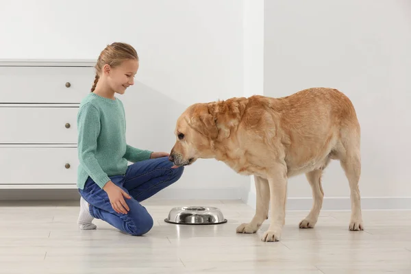 Criança Bonita Alimentando Seu Labrador Retriever Casa Adorável Animal Estimação — Fotografia de Stock