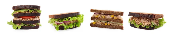 Колаж Різних Смачних Бутербродів Тунцем Білому Тлі — стокове фото