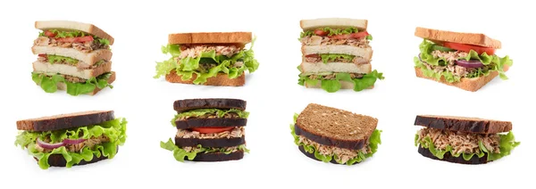 배경에 참치가 맛있는 샌드위치를 만드는 — 스톡 사진