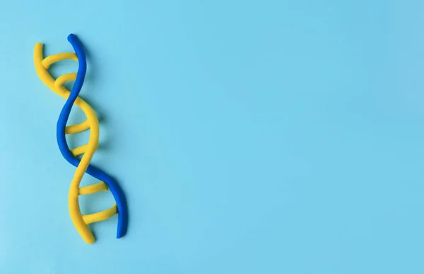 stock image DNA molecule model made of colorful plasticine on light blue background, top view. Space for text