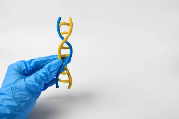 stock image Scientist holding DNA molecule model made of colorful plasticine on white background, closeup. Space for text