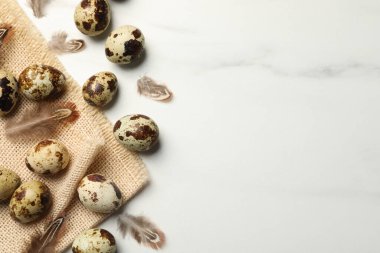 Benekli bıldırcın yumurtası ve tüyleri beyaz mermer masada, düz yerde. Metin için boşluk