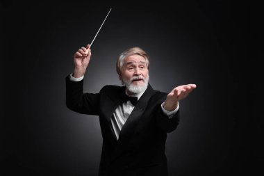 Professional conductor with baton on black background clipart
