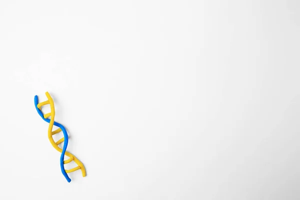 Dna Molecule Model Made Colorful Plasticine White Background Top View — Stock Photo, Image
