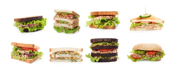 Коллаж Различных Вкусных Бутербродов Тунцом Белом Фоне — стоковое фото