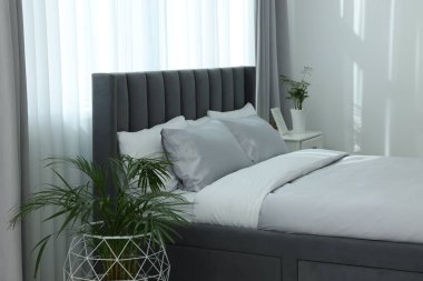 Şık bir yatak odası, rahat bir yatak odası ve güzel bitkiler.