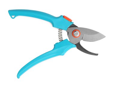 Açık mavi saplı Secateurs beyaz, üst manzara izole. Bahçe aleti
