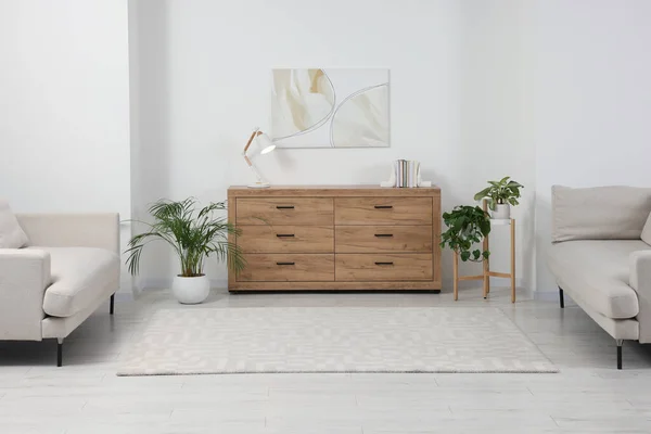 风格别致的客厅 装有木箱抽屉 沙发和盆栽 室内设计 — 图库照片