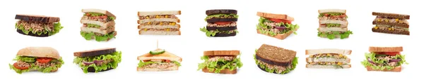 Collage Diferentes Deliciosos Sándwiches Con Atún Sobre Fondo Blanco — Foto de Stock