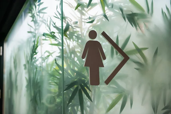 玻璃墙上有箭头指示的妇女公厕标志 — 图库照片
