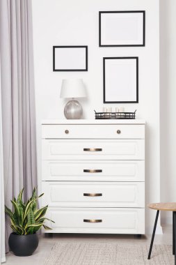 Beyaz duvarda asılı boş çerçeveler, çekmeceler ve kapalı alanda saksı bitkisi
