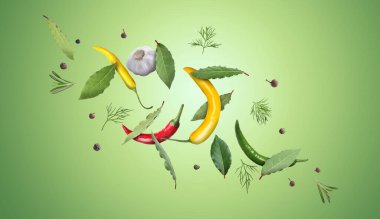 Koy yaprakları, biberiye, dereotu, sarımsak, yeşil eğimli arka planda uçuşan siyah ve taze acı biber.