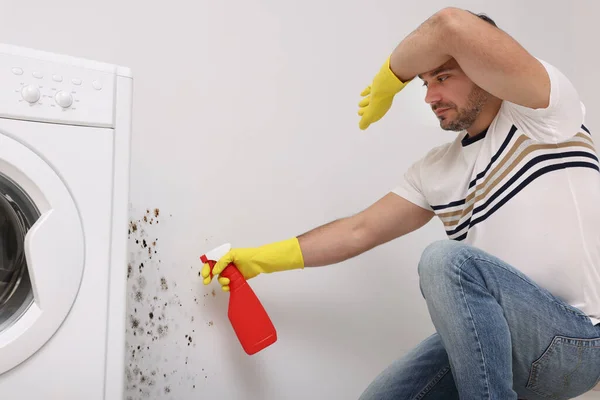 Man Rubber Gloves Using Mold Remover Wall Bathroom — Stock Photo, Image