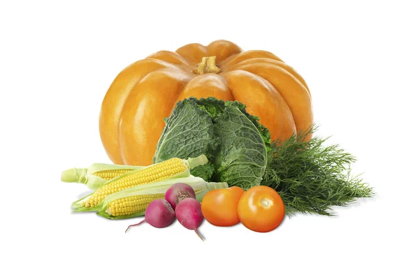 Mnoho Různých Čerstvé Zeleniny Kopru Bílém Pozadí — Stock fotografie