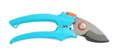 Açık mavi saplı Secateurs beyaz, üst manzara izole. Bahçe aleti