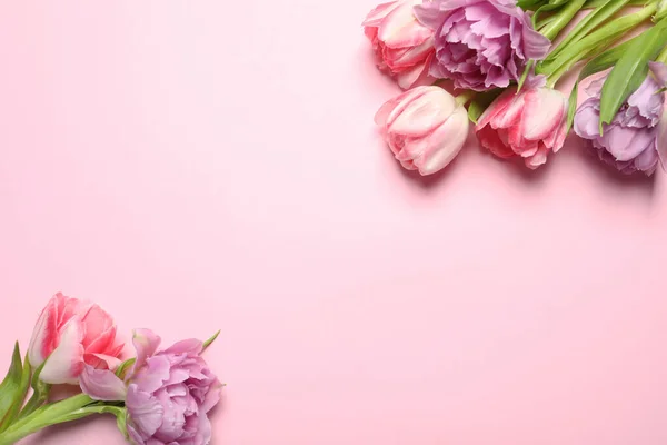 Lindas Flores Tulipa Coloridas Fundo Rosa Vista Superior Espaço Para — Fotografia de Stock